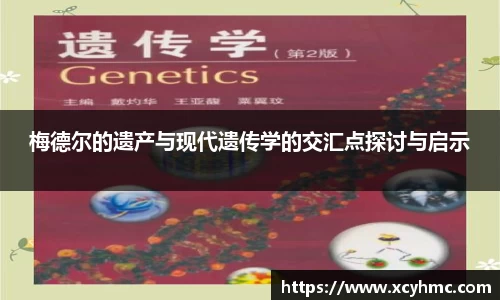 满冠体育手机下载
