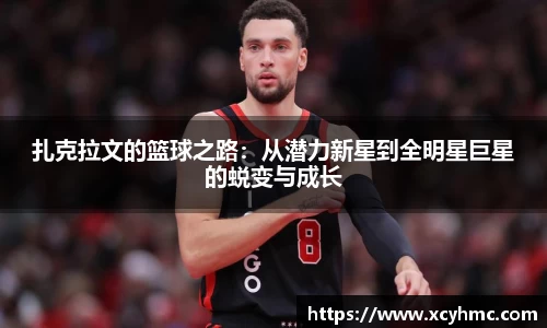 满冠体育新版本